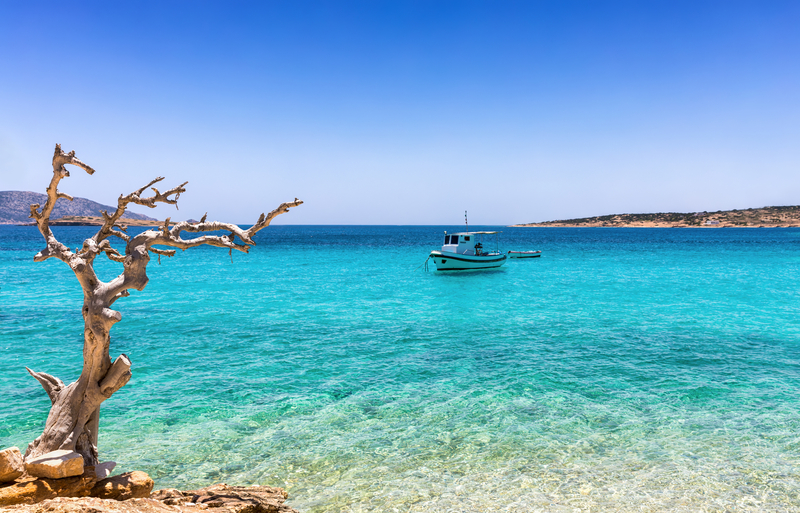 dreamstime_s_104274716