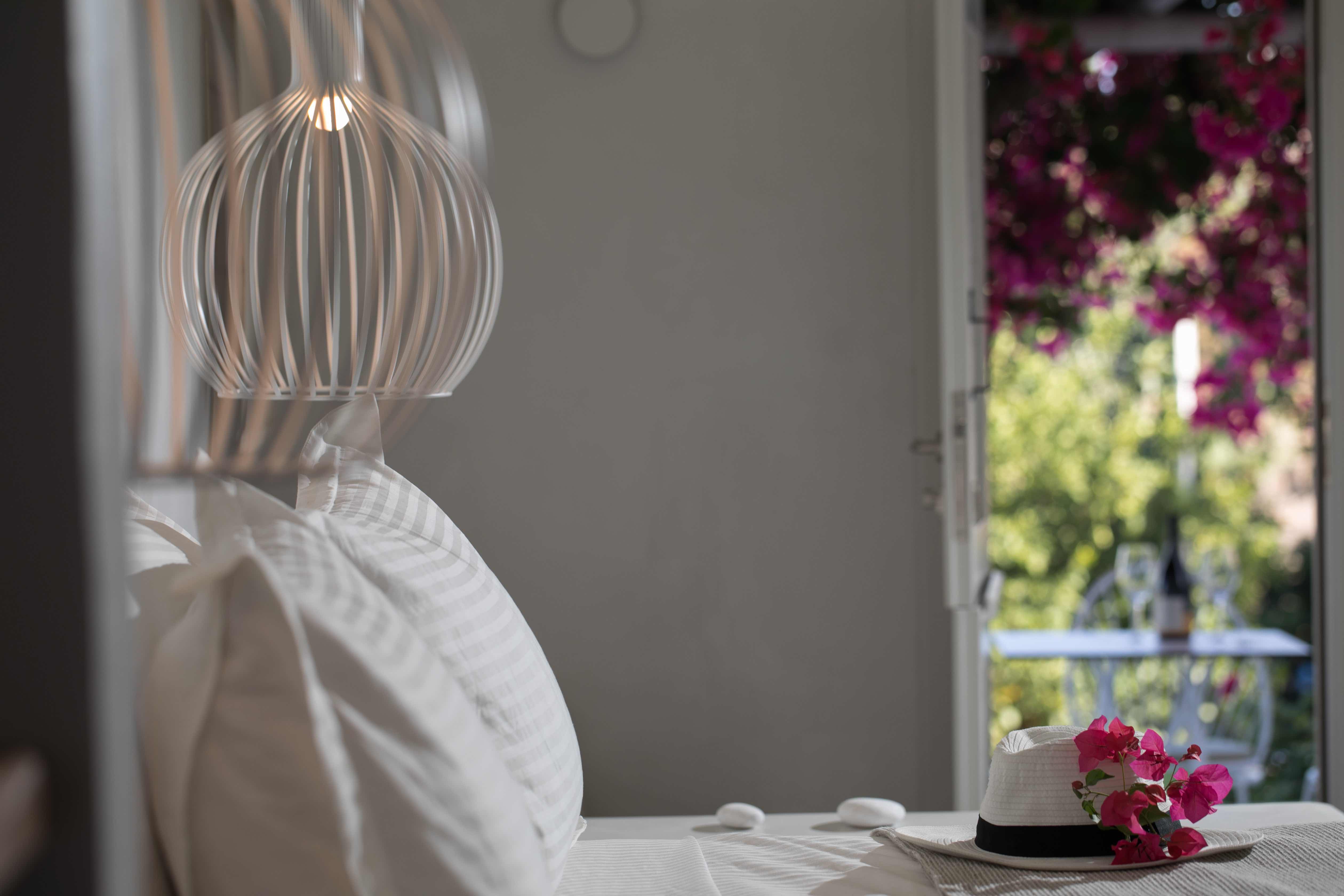 compressed_above_ _ostria 11