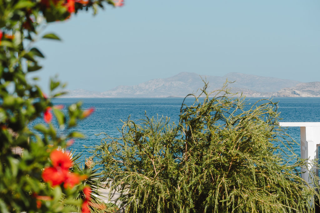 osrtia_exterior 34 edit