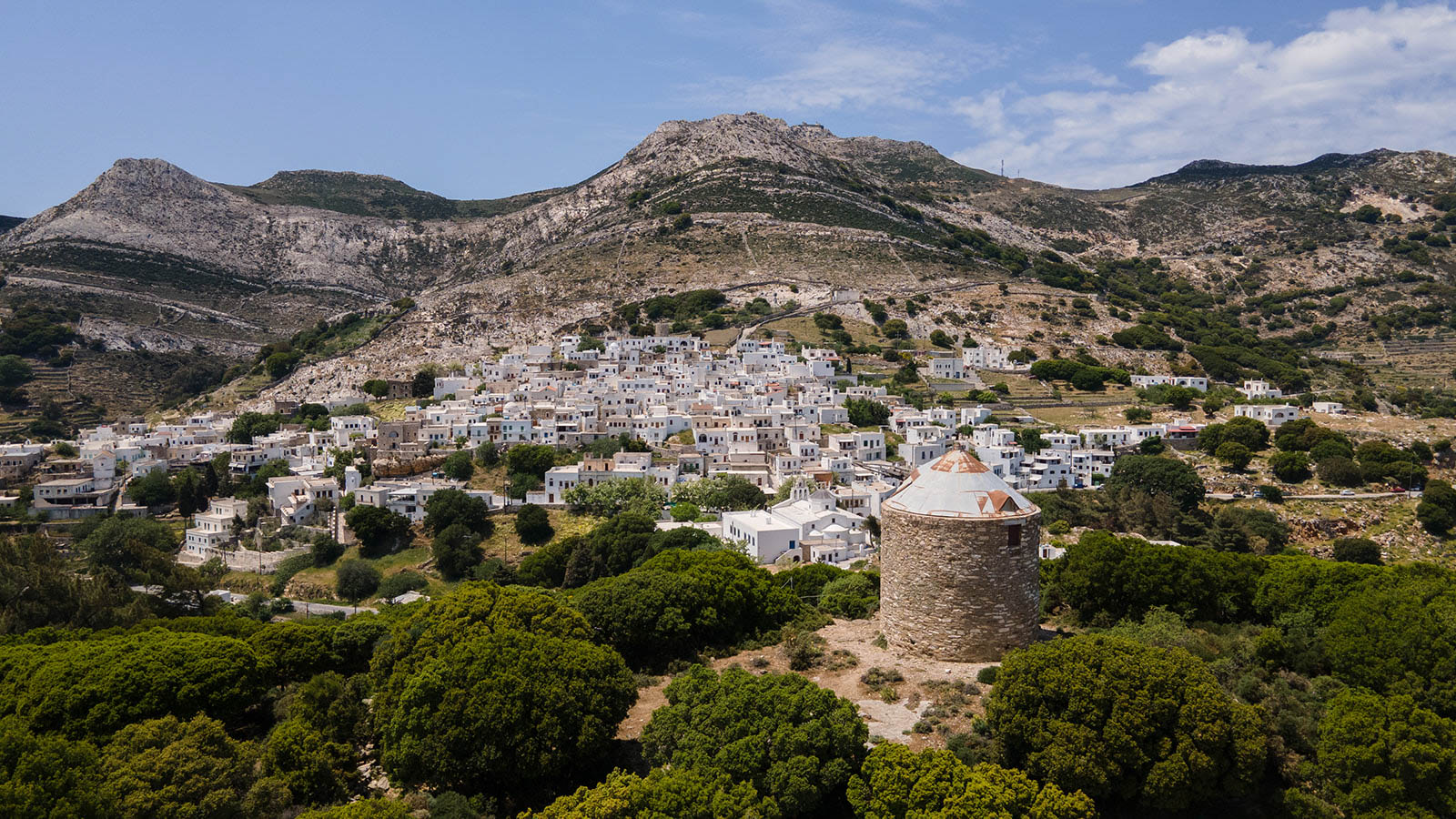 above_ _ostria_resized 2